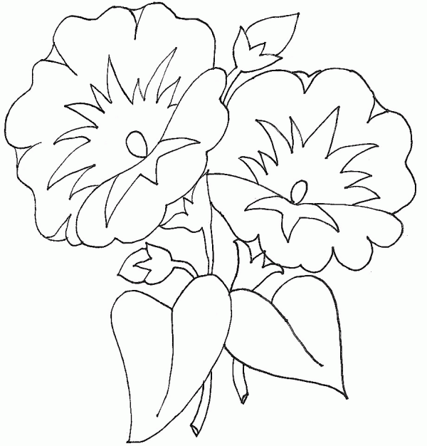 Flowers Coloring Template 8