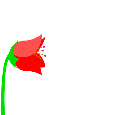 animated flowers blooming gif