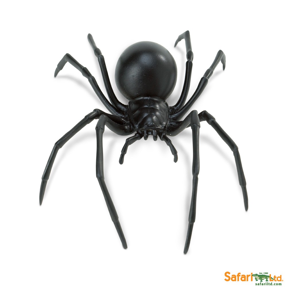 Free Black Widow Spider, Download Free Black Widow Spider png images ...