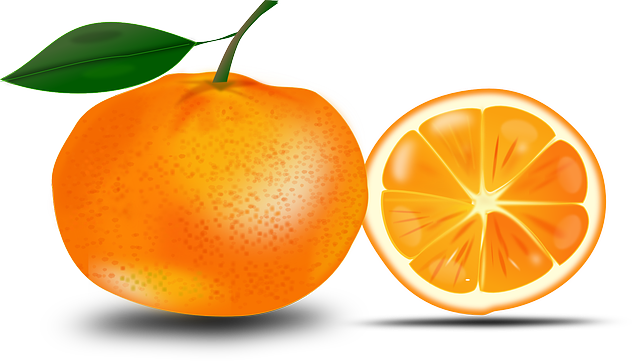 Free to Use  Public Domain Oranges Clip Art