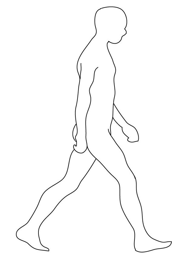 Sketch man walking hand drawn back view Royalty Free Vector