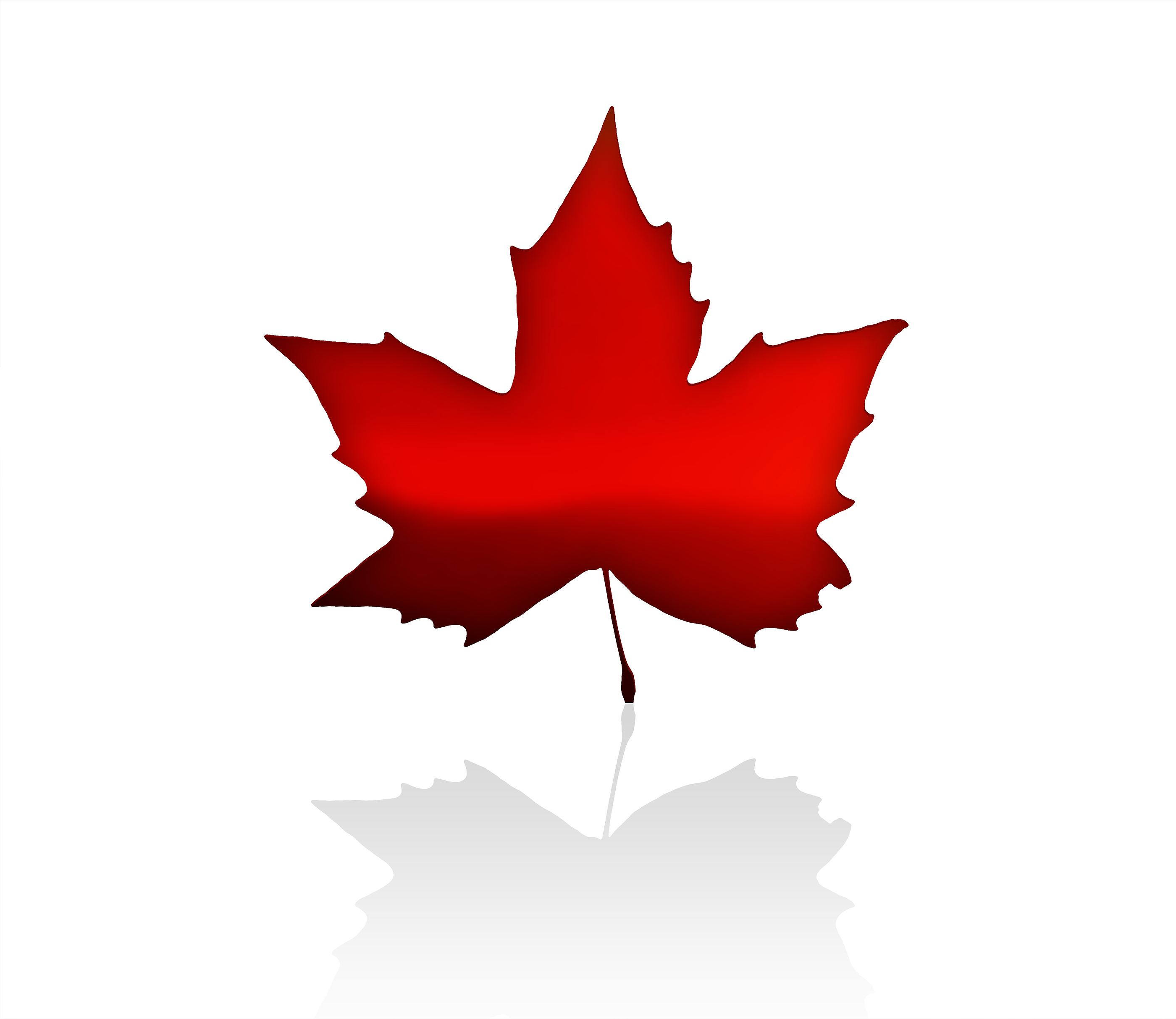 Canadian Leaf: Symbolizing Canada's Natural Beauty Cultural