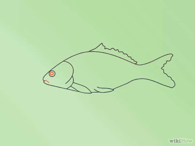 Simple line drawing of a fish with orange eye and fin details on light green background.