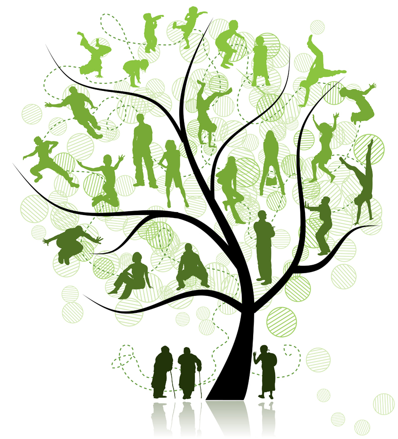 family reunion tree clip art
