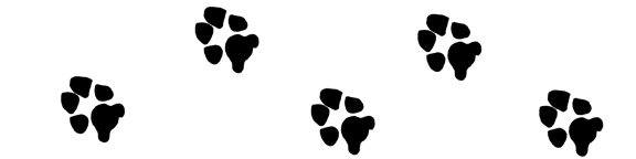 Black animal paw prints scattered on a white background, stylized vector illustration.