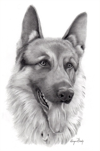 Detailed Pencil Drawings of Animals and People by Doreen Cross — Art is Fun-saigonsouth.com.vn