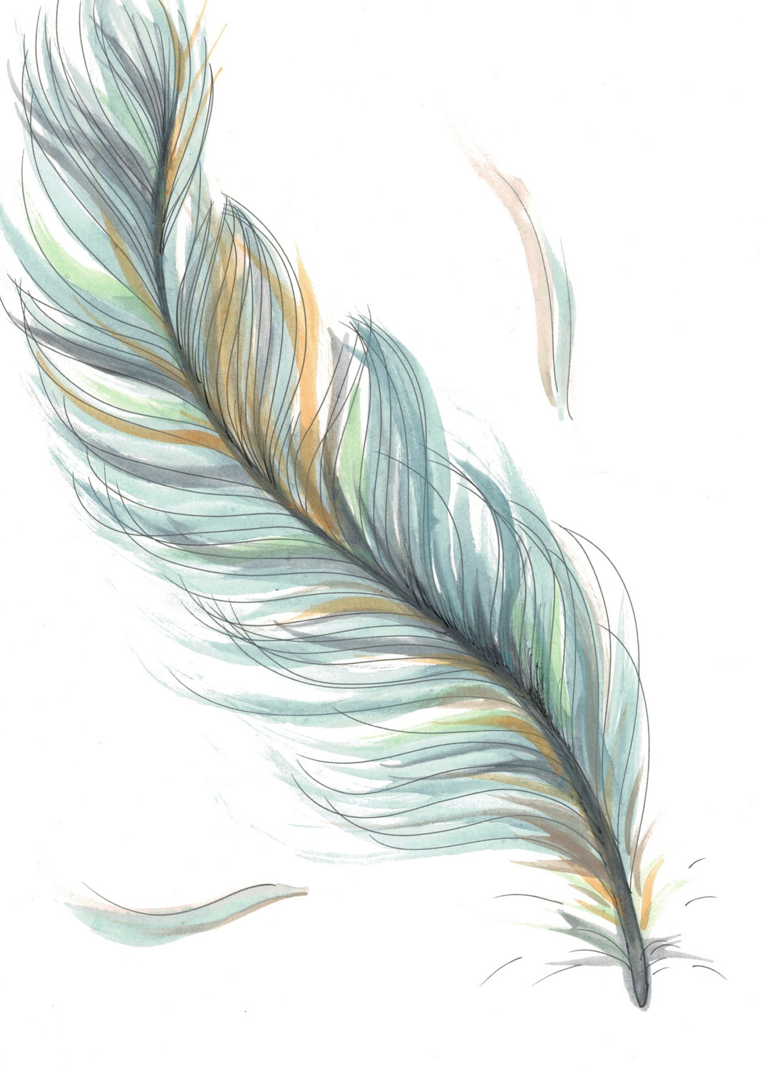 how of peacock drawing Free Clip Clip Free Free Download Feather, on Art Art,