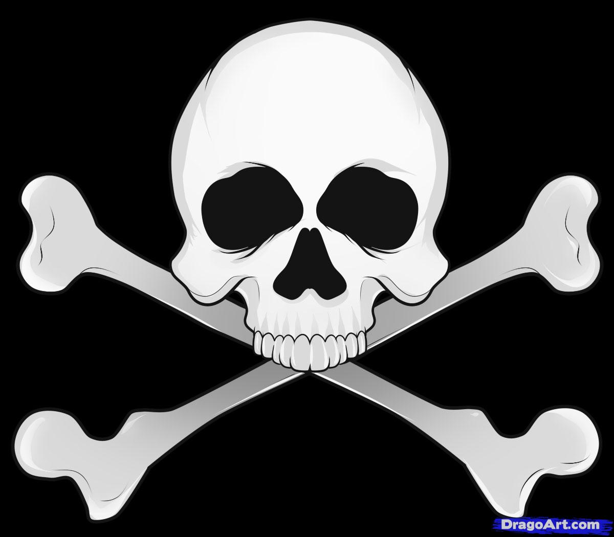 Skull Drawing PNG, Vector, PSD, and Clipart With Transparent Background for  Free Download | Pngtree