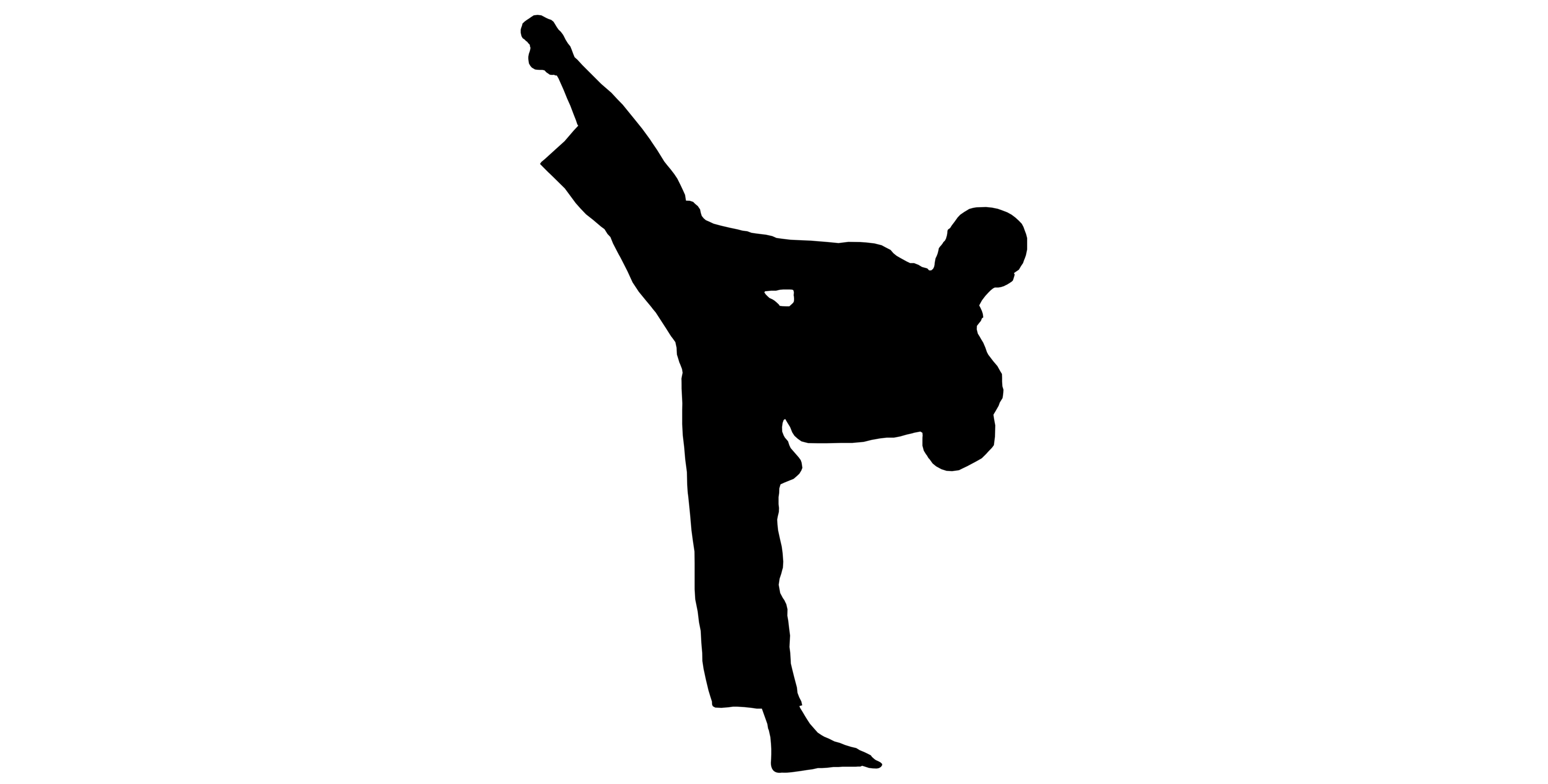 taekwondo silhouette - Clip Art Library