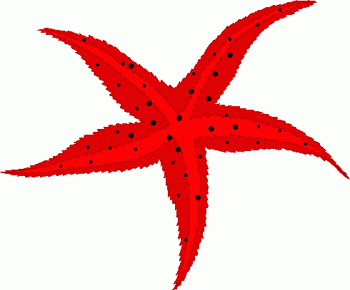 Starfish Clip Art | Clipart library - Free Clipart Images