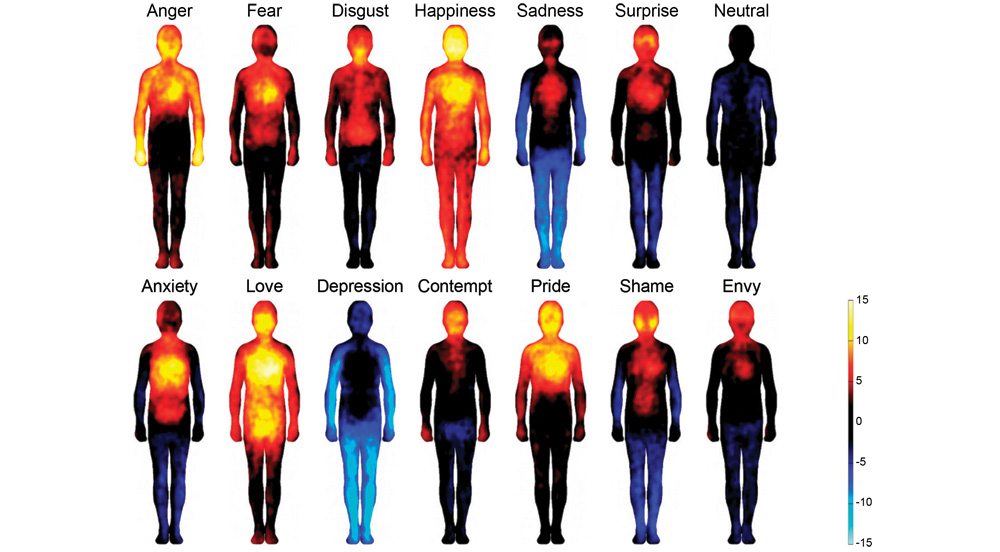 Human emotions mapped for the first time, shows where we feel love 