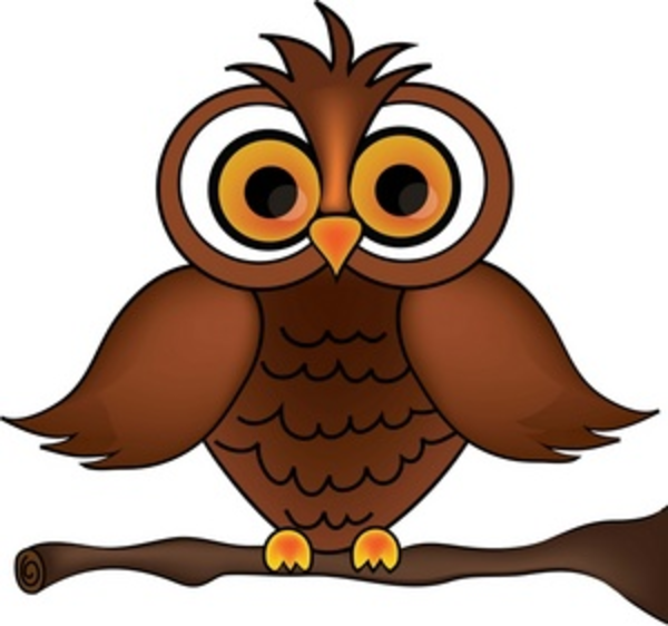 Wise Old Owl Cartoon Owl On A Tree Branch Smu | Free Images at 