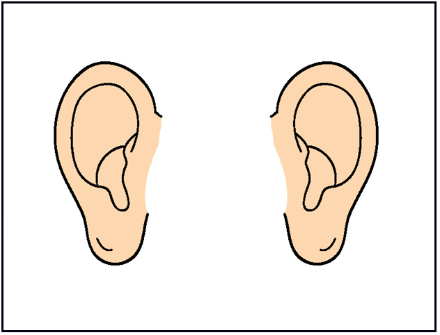 human ears clipart