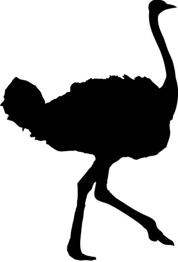 Ostrich Silhouette Vector Image - Free Download & Usage