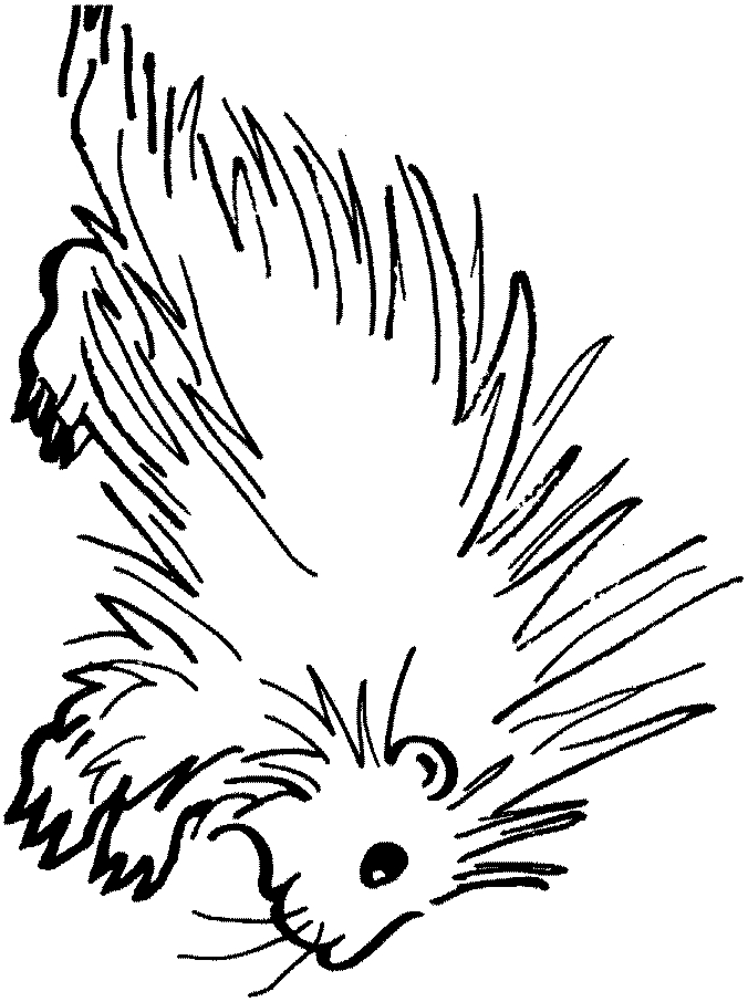 Porcupine coloring page - Animals Town - Free Porcupine color sheet