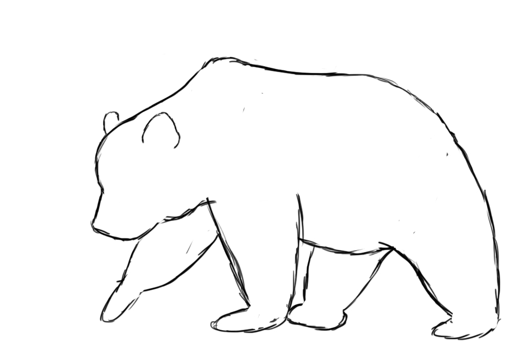 How to Draw a Bear - An Easy and Cute Wild Bear Drawing