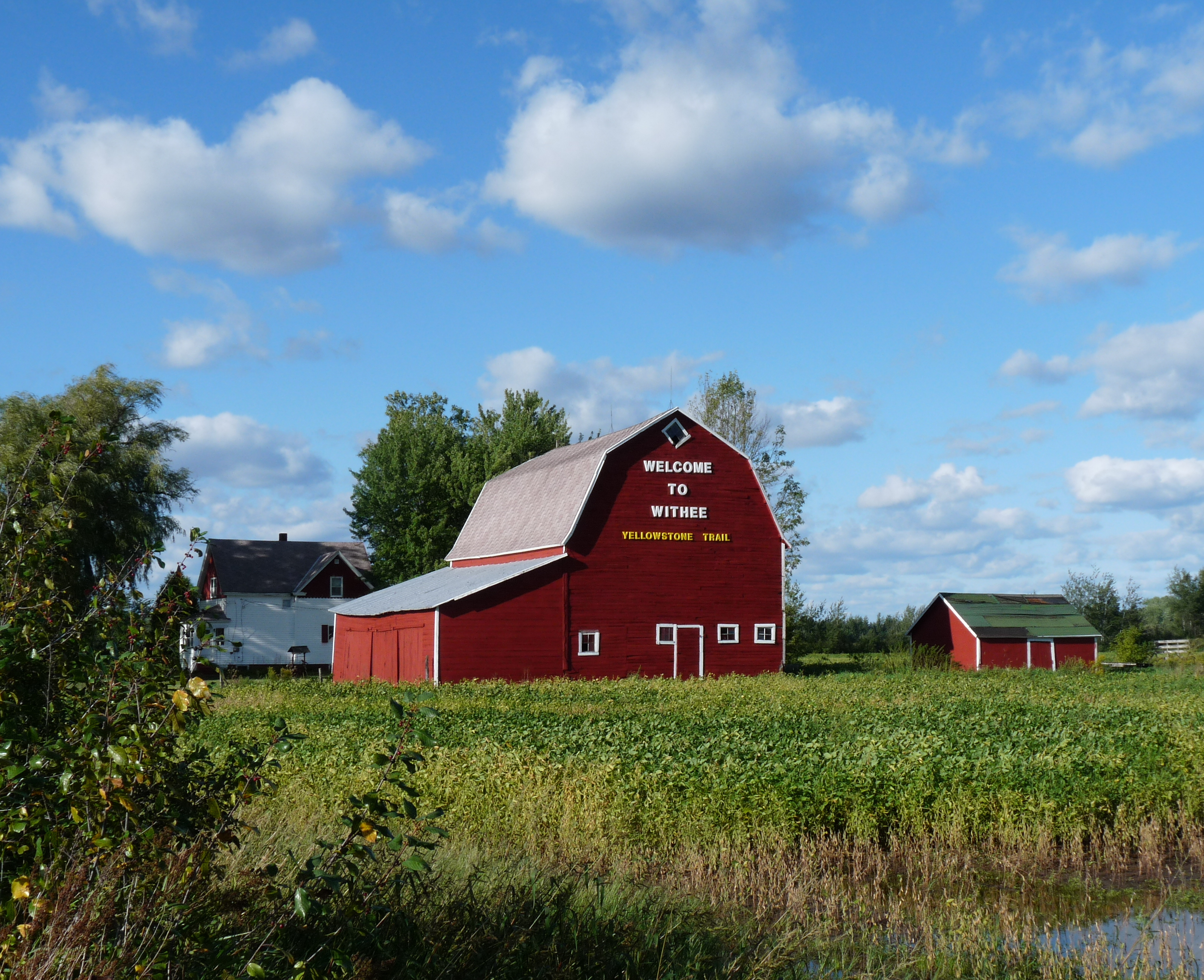 A vibrant red barn with "Welcome to Withee Yellowstone Trail" painted on its side, set against a blue sky with scattered clouds and green fields.