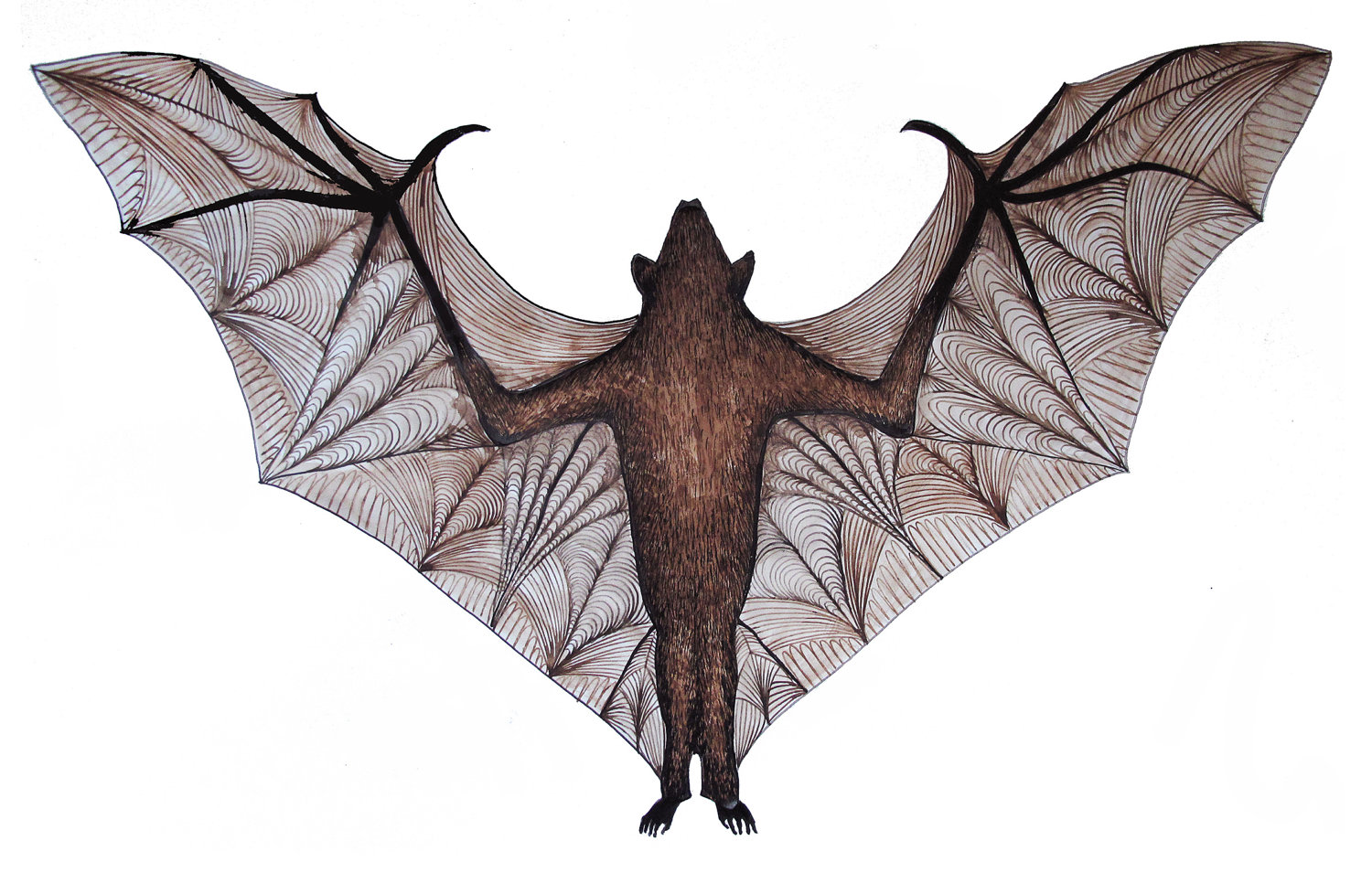 Premium Photo | Realistic Gothic Illustration Of A Bat Flying On Grey  Background