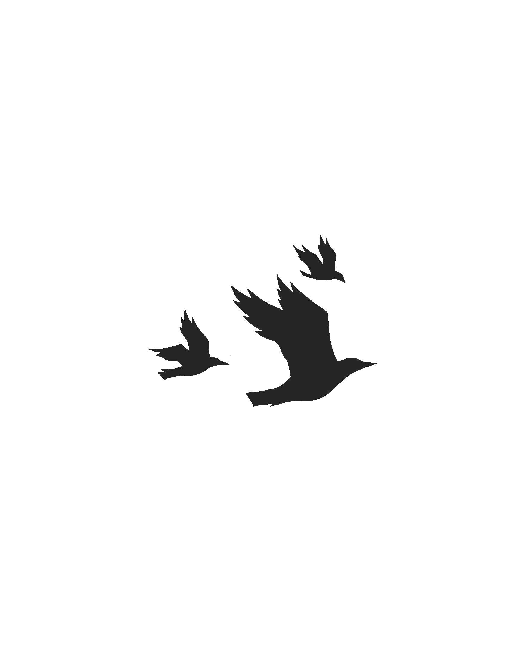 3 Birds Flying - Clipart library