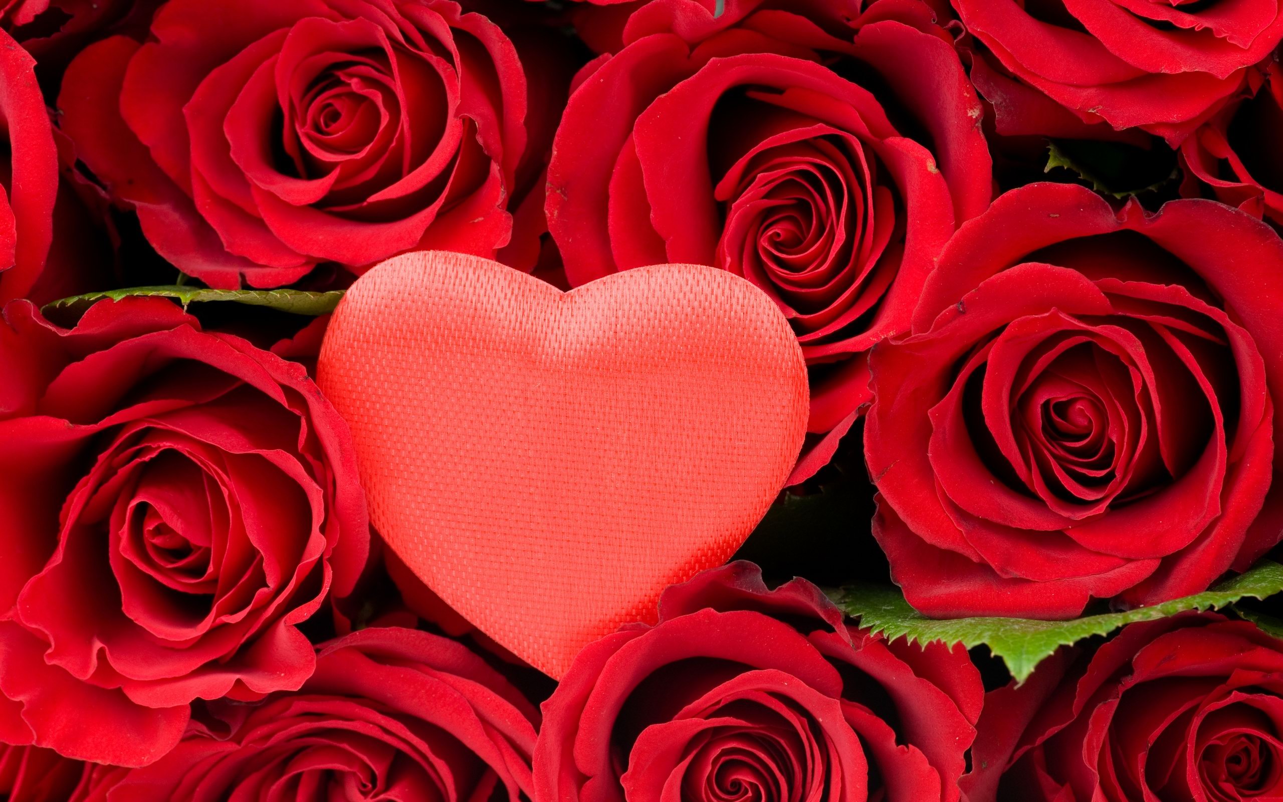 Atirgullar ochdi chiroy. Красные розы. Розы в сердце. Цветы розы красные. Цветы сердечки.