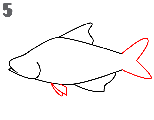 Step by step to draw a Cute Fish. Drawing tutorial a Cute Fish. Drawing  lesson for children. Vector illustration 27916966 Vector Art at Vecteezy