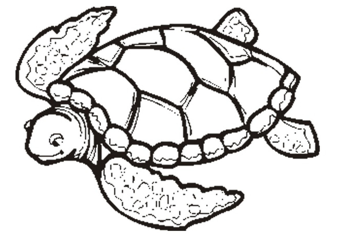 sea turtle outline | Coloring Picture HD For Kids | 878 