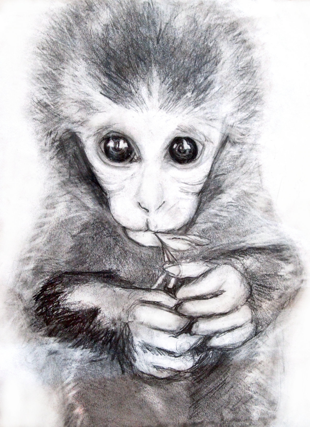 Adorable little monkey sitting in a jungle by the beach detailed pencil  drawing on Craiyon