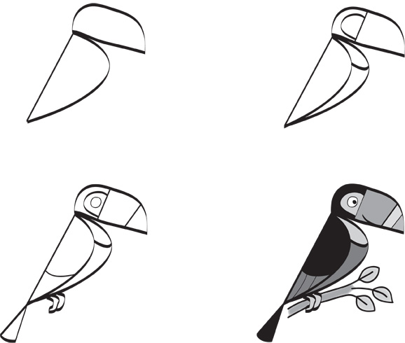 Toucan Outline - Clipart library