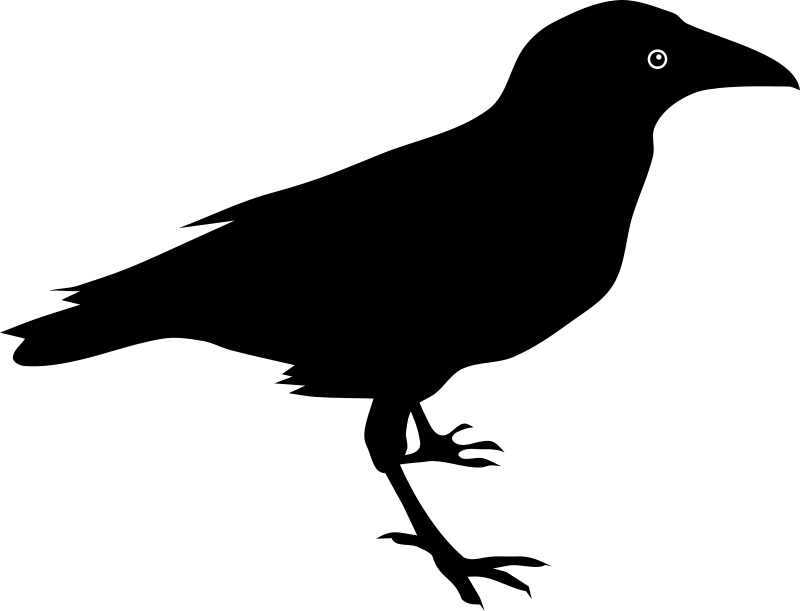 Image Not Available - Placeholder Content