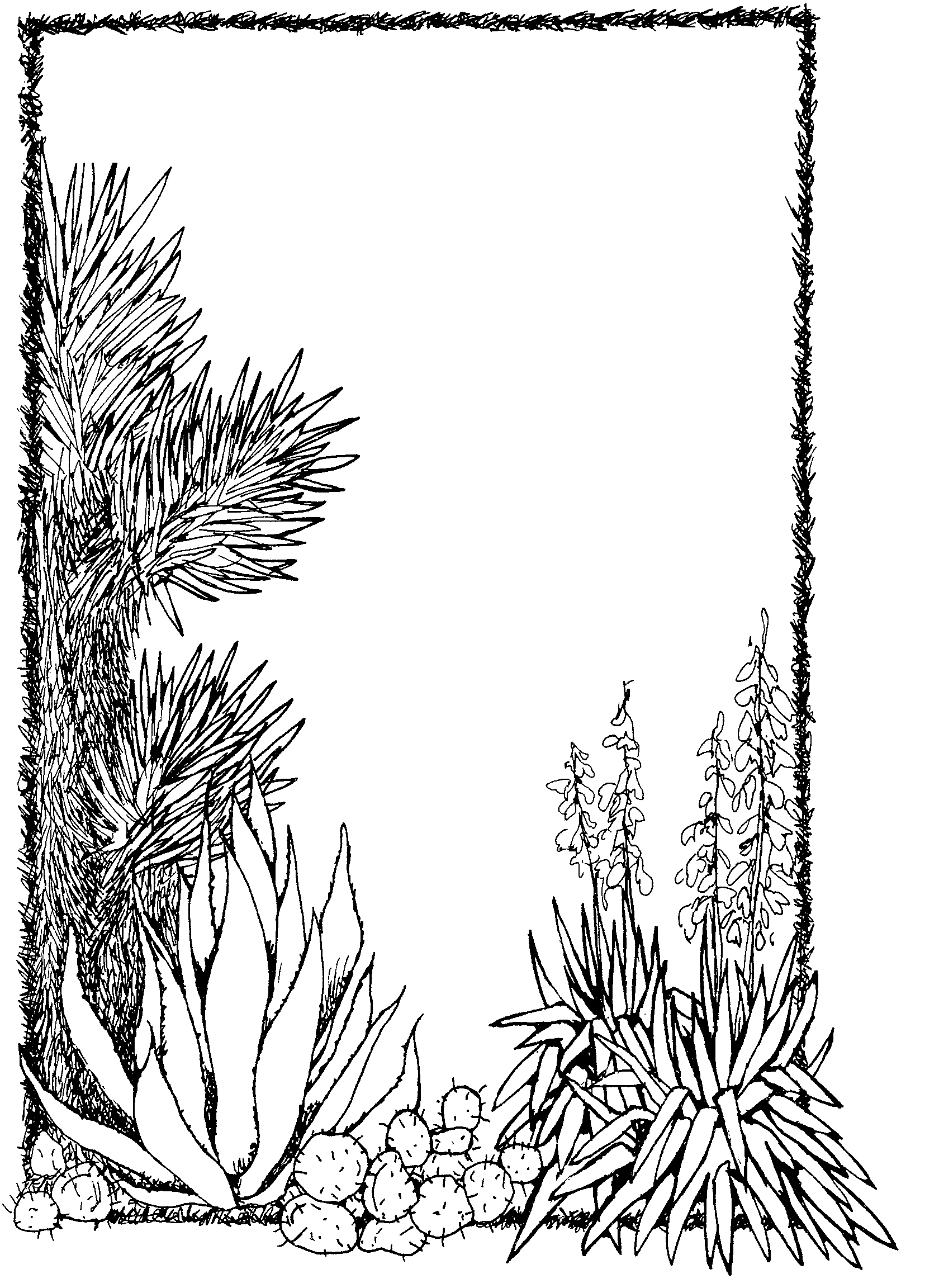 Images For  Plants Clipart Black And White