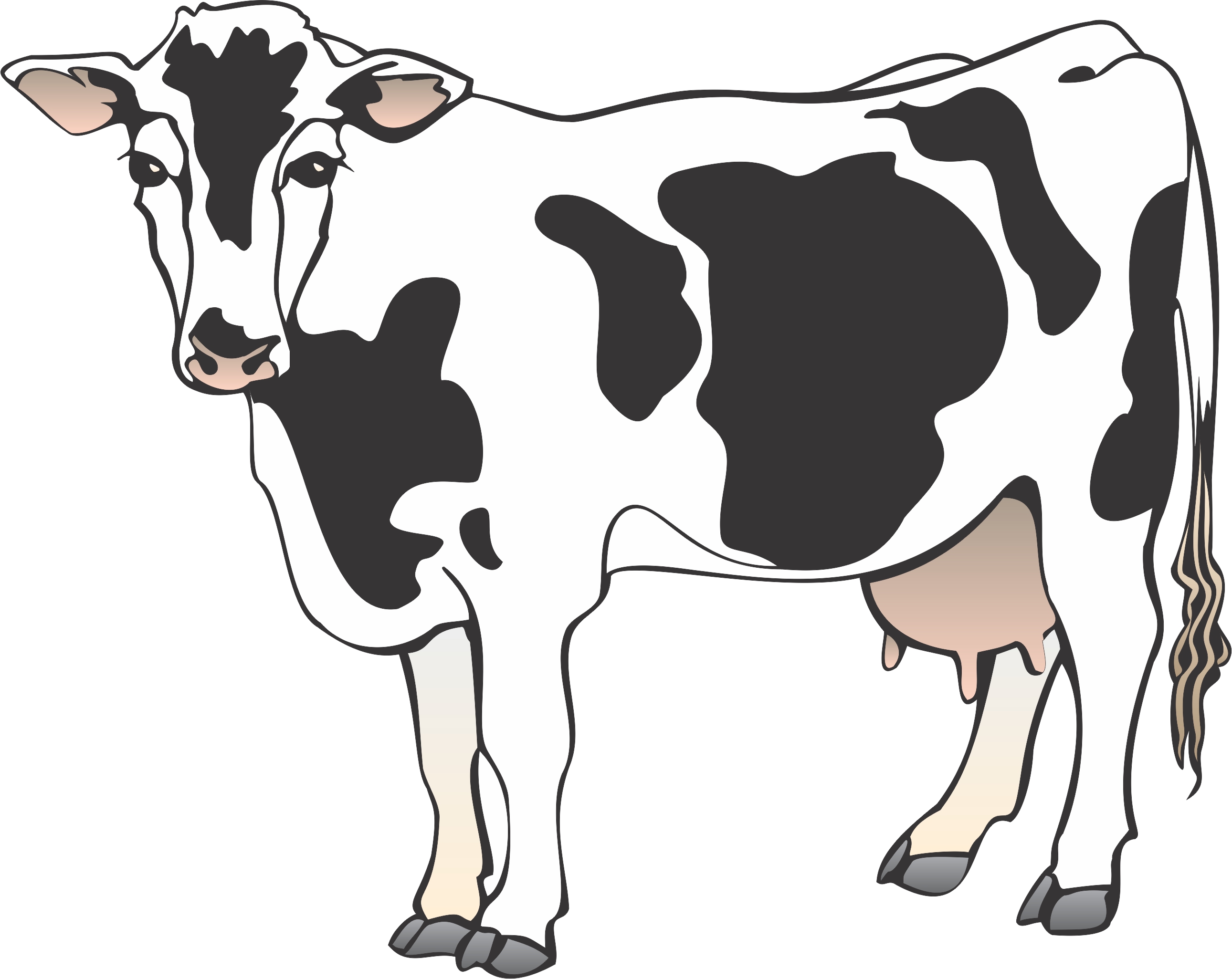 cow clipart - Clip Art Library