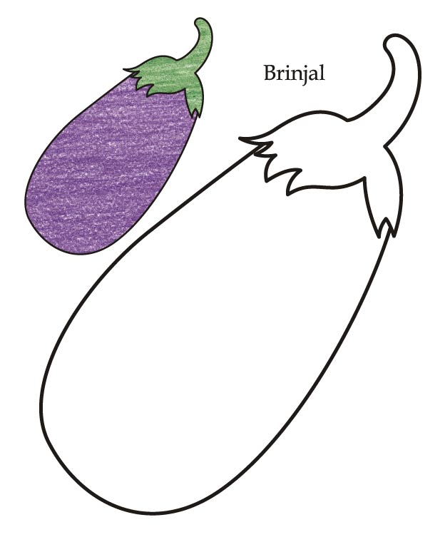 brinjal clipart