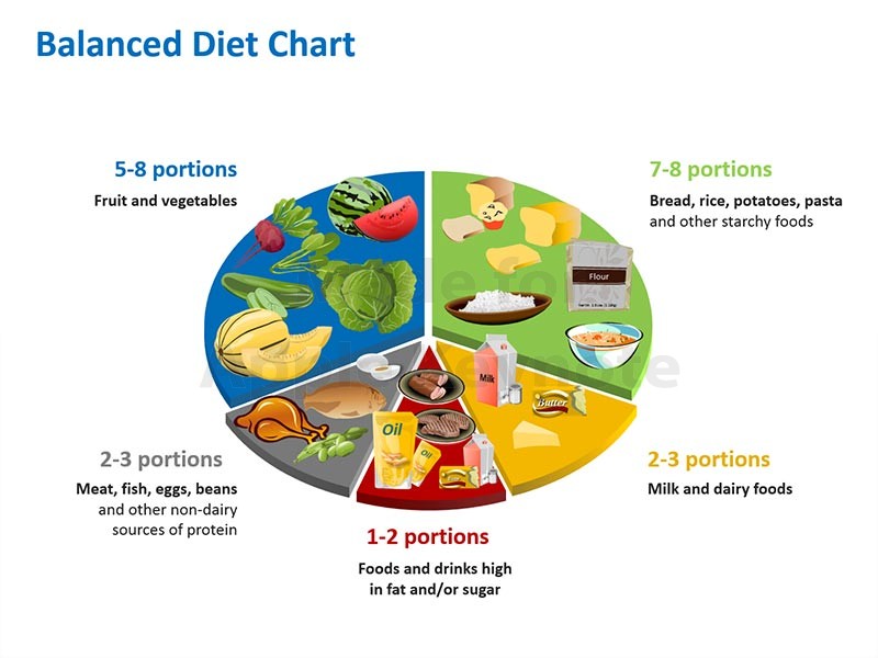 balanced diet food groups chart - Clip Art Library
