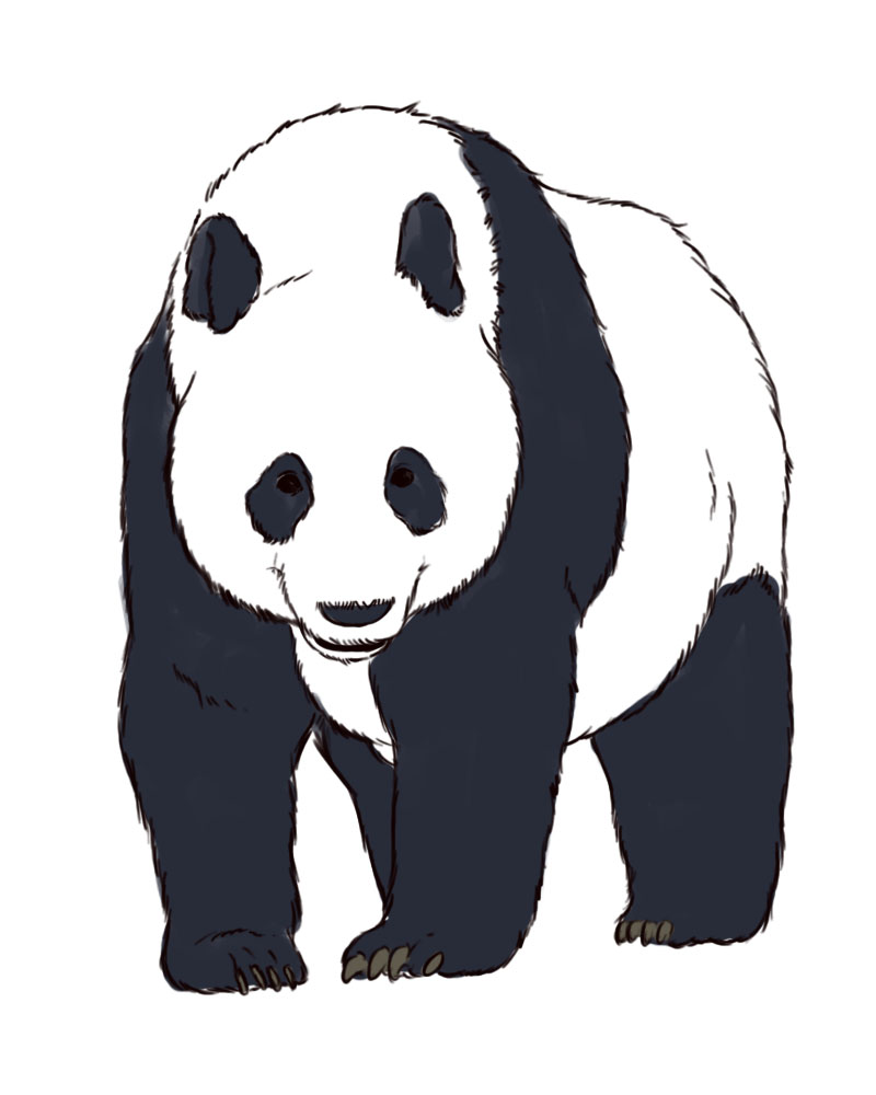 Easy Panda Drawing Guide Step by Step | Skip To My Lou