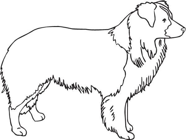 Bearded Collie Dog Outline Pet Lover Art For Custom Gifts