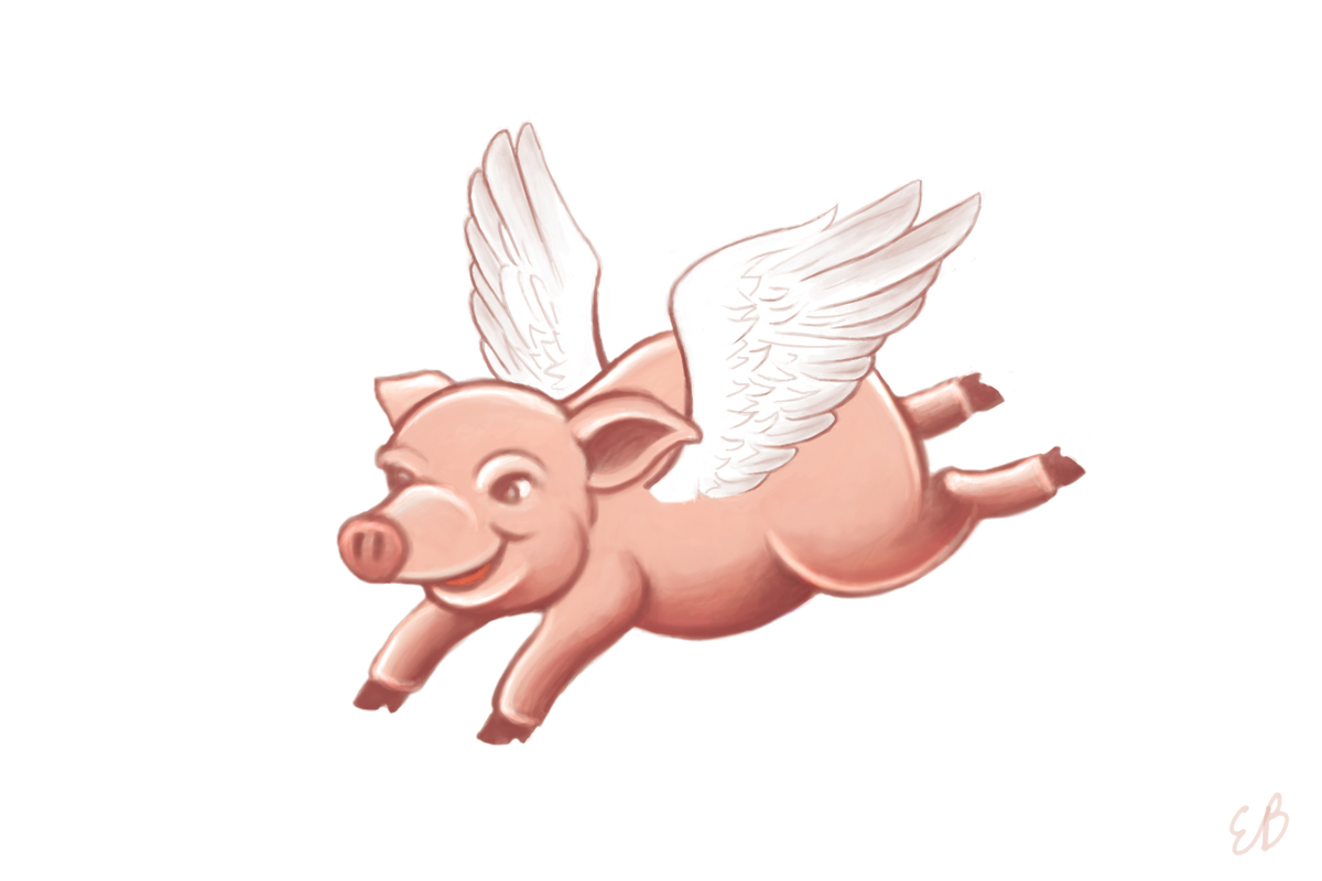 Летающие свинки картинки. Свинья с крыльями. Поросенок с крылышками. Свинка с крылышками. Летающая свинья.
