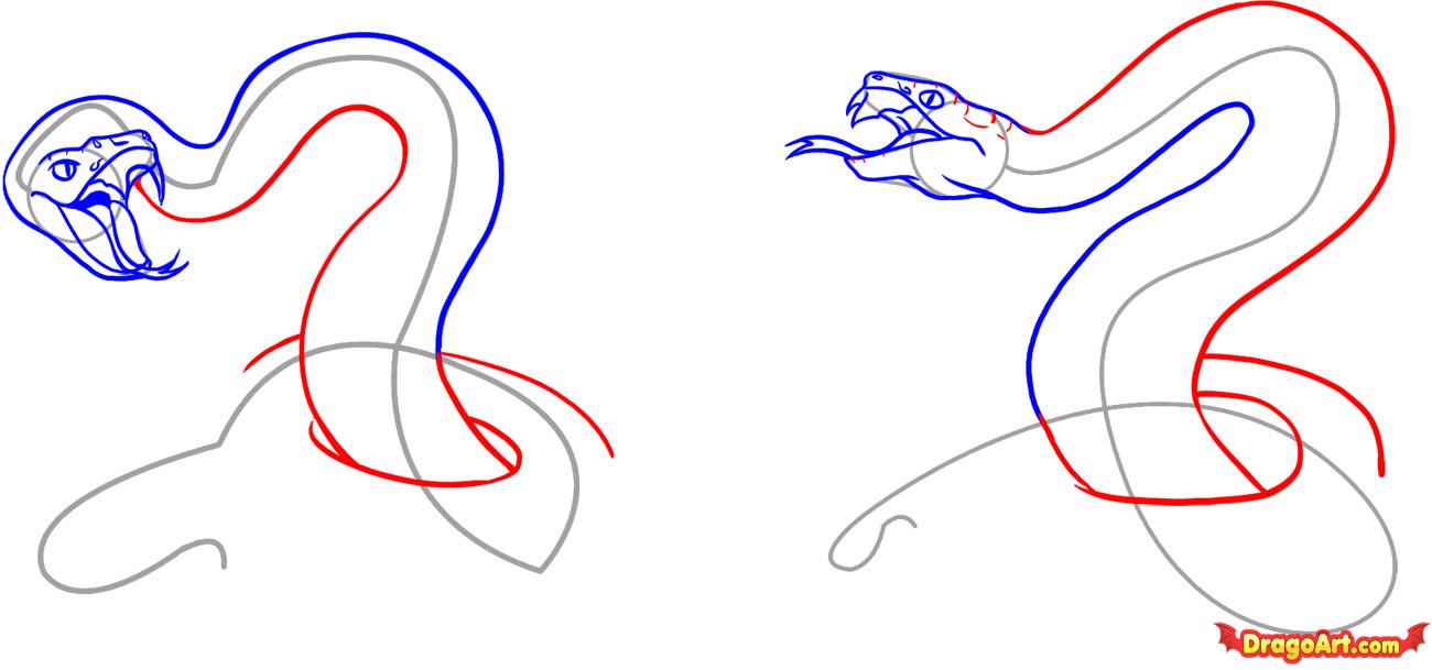 Viper Snake Head Drawing