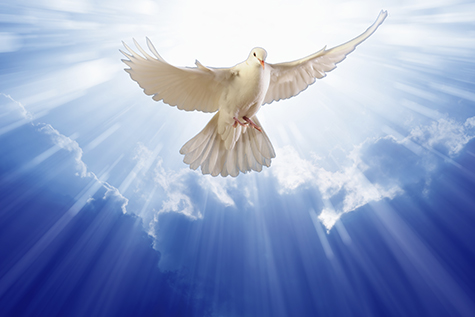 Free Holy Spirit Dove, Download Free Holy Spirit Dove png images, Free ...