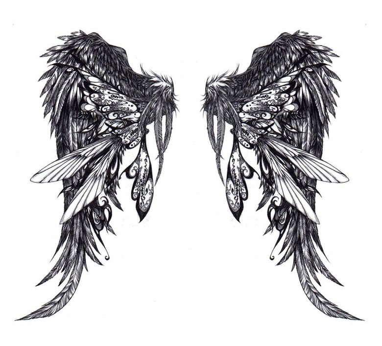 Black Angel Bird Feather Wings Illustration Vector Stock Illustration -  Illustration of tattoo, feather: 237262392
