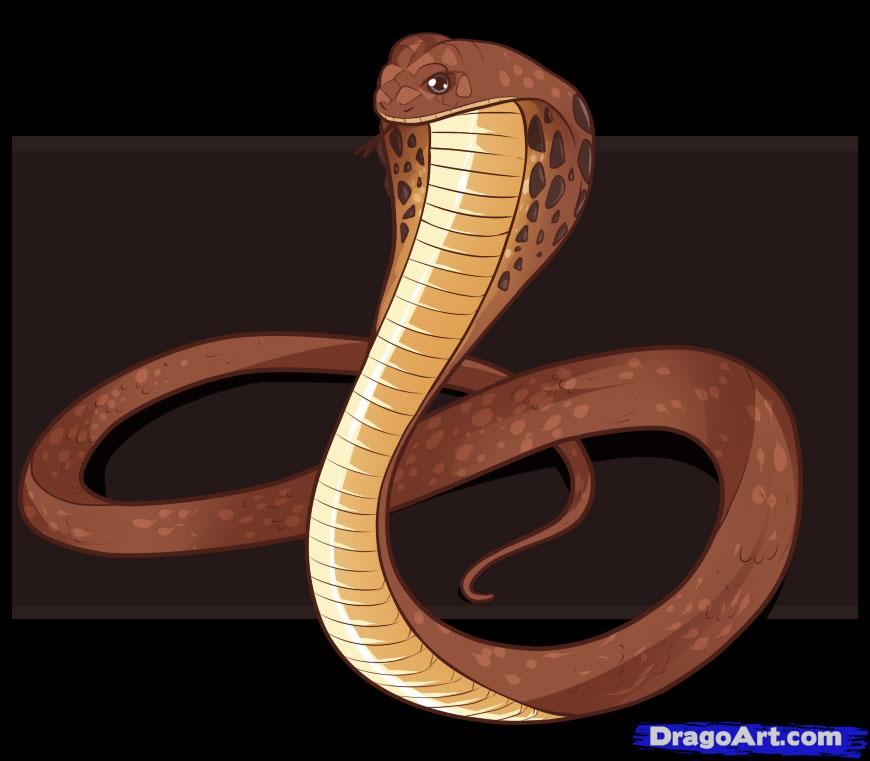 Details more than 164 realistic king cobra drawing super hot