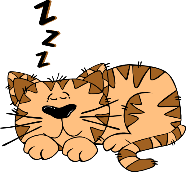 A cartoon orange tabby cat sleeping peacefully with "Zzz" above its head.