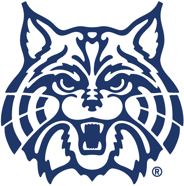 Arizona Wildcats Alternate Logo - NCAA Division I (a-c) (NCAA a-c 