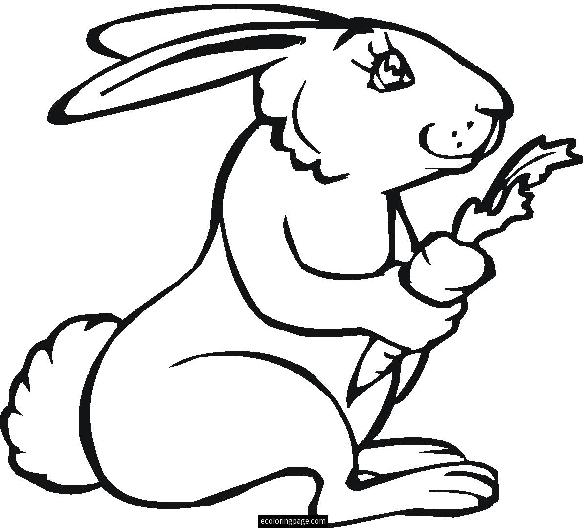 Rabbit Clipart Outline In Black And White Free Clipart Design - Vrogue