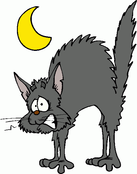 Scared Cat Under Moonlight - Free Clipart Image