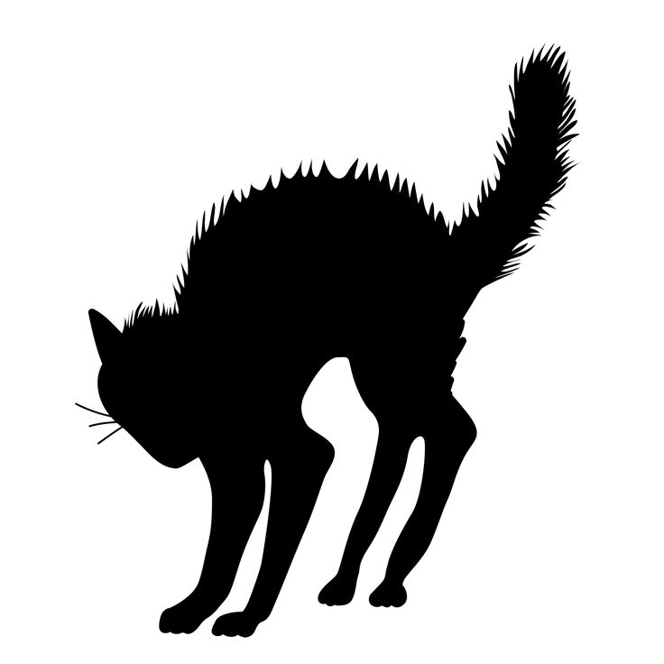 Black Cat Silhouette Svg Png Icon Free Download (#73363) 