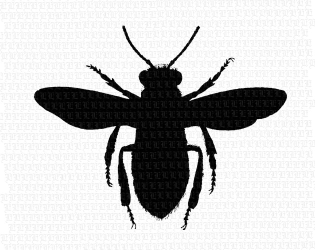 Free Bee Silhouette, Download Free Bee Silhouette png images, Free