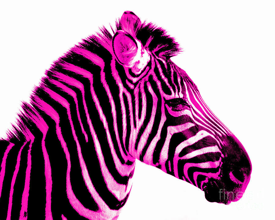 pink zebra cake clipart