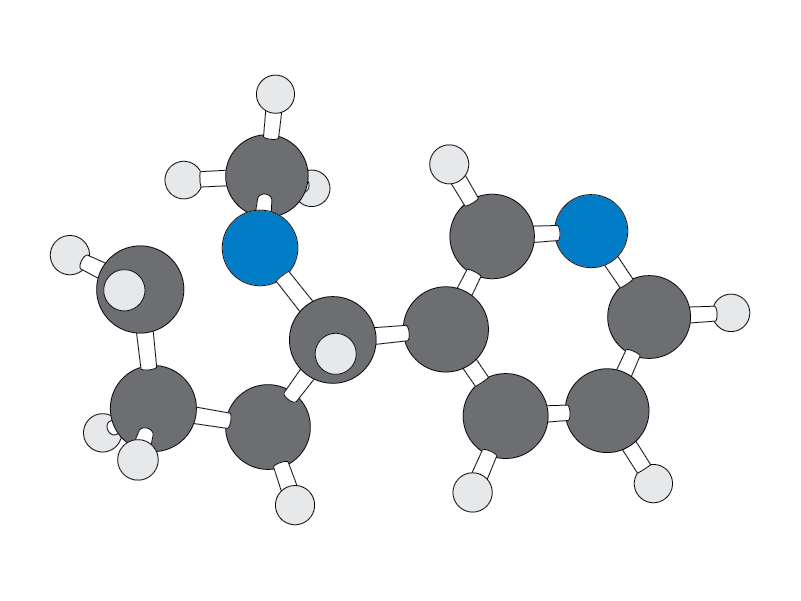 Nicotine Molecular Structure - Chemical Composition & 3D Model