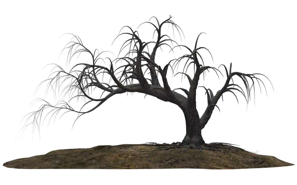 Creepy Tree 19 by wolverine041269 on Clipart library
