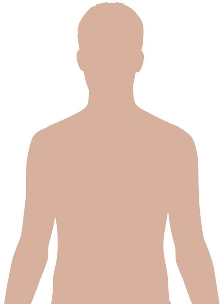 Human body diagrams - Wikimedia Commons